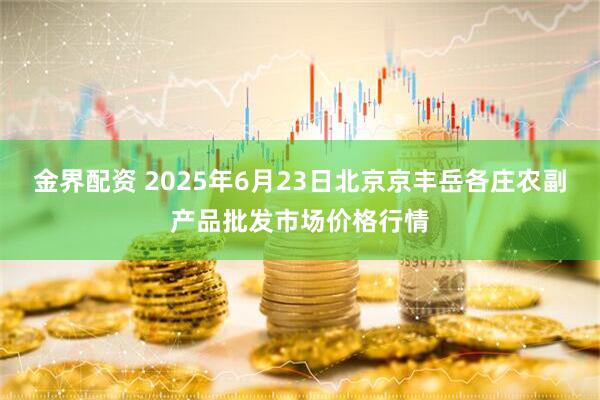 金界配资 2025年6月23日北京京丰岳各庄农副产品批发市场价格行情