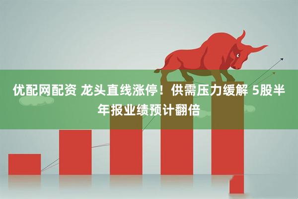 优配网配资 龙头直线涨停！供需压力缓解 5股半年报业绩预计翻倍