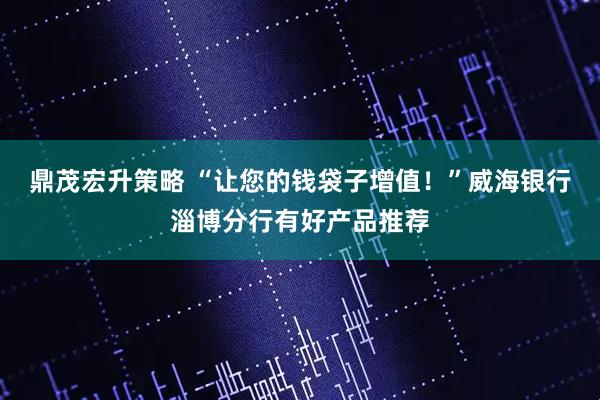 鼎茂宏升策略 “让您的钱袋子增值！”威海银行淄博分行有好产品推荐